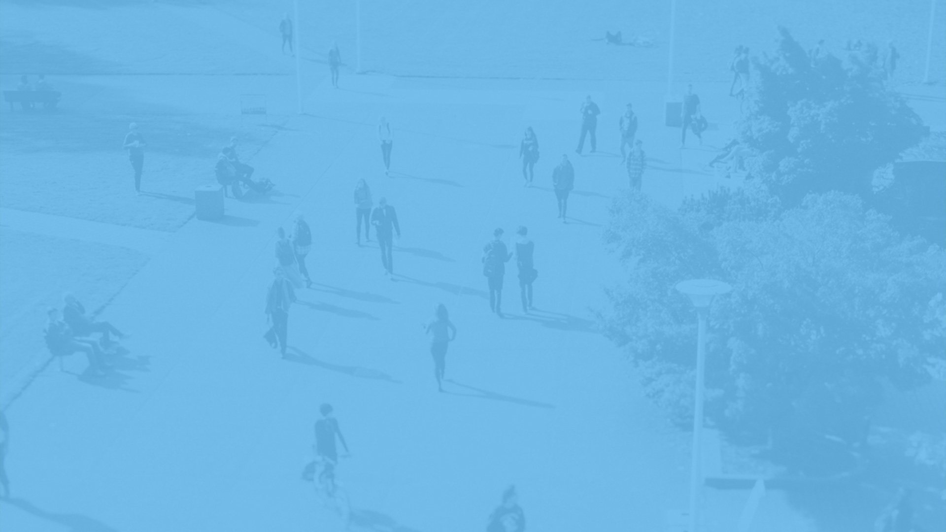 campus-product-colors_web-headers_csm campus-product-colors_web-headers_csm